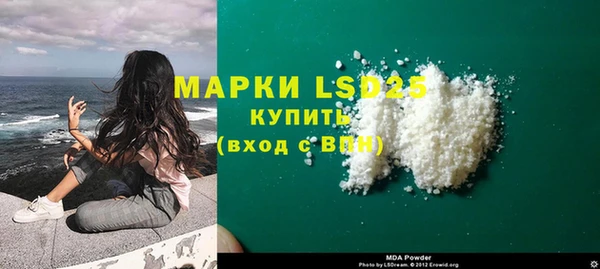 стаф Ладушкин