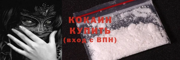 стаф Ладушкин