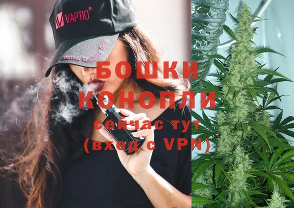 ПСИЛОЦИБИНОВЫЕ ГРИБЫ Лагань