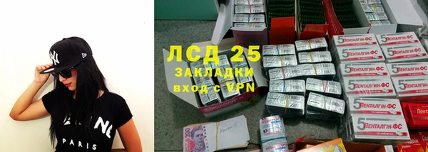 ПСИЛОЦИБИНОВЫЕ ГРИБЫ Лагань